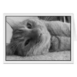 MEOW GREETING CARD