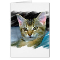 Meow cards