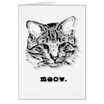Meow card.