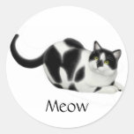 Meow Cat Sticker