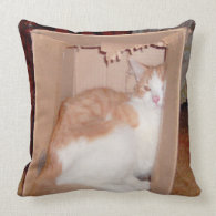 Meow Cats 31 Square Throw Pillow