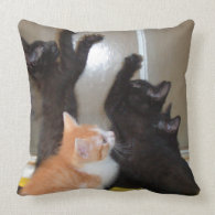 Meow Cats 36 Square Throw Pillow