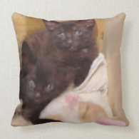 Meow Cats 38 Square Throw Pillow