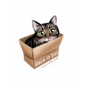 Meow in box shirt