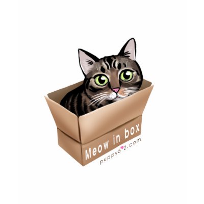 Meow in box T-shirt by puppy52