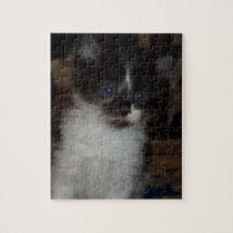 Meow puzzles