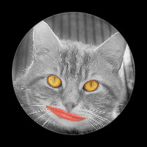 Meow magnets