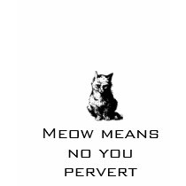 Meow means no you pervert t-shirts