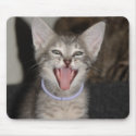 Meow mousepads by staceybaakko Meow mousepads