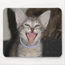 Meow mousepads