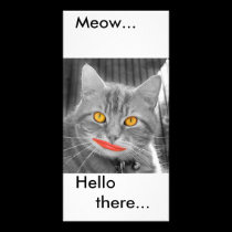 Meow, photo cards