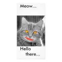 Meow, photo cards by anthonyhedger Meow, photo cards