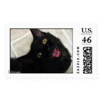 MEOW! postage by dmoola MEOW! postage