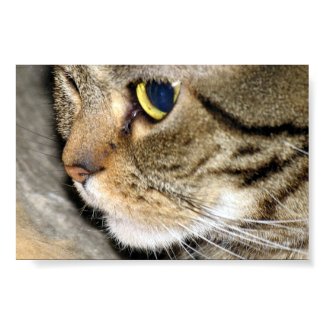 Meow print