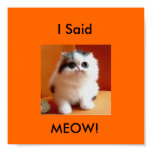 Meow Posters