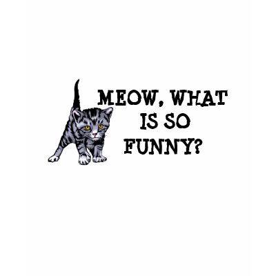 what is funny. Meow, what is so funny?