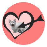 Meowing Cat Valentine Sticker stickers