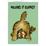 Meows it Going? Cartoon Cat Greeting Card cards