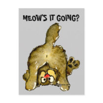Meow's it Going Cartoon Cat Postcard