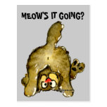 Meow's it Going Cartoon Cat Postcard postcards