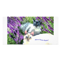 Meows Rule Card Custom Photo Card