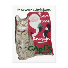 Meowwy Christmas Recycle Postcard postcard