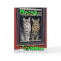 Meowy_Christmas cards