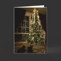 Meowy Christmas cards by Llywellyn Meowy Christmas cards