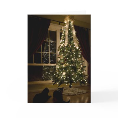 Meowy Christmas cards