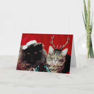 Meowy Christmas card card