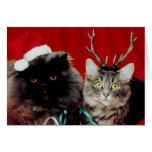 Meowy Christmas card