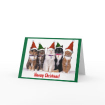 "Meowy Christmas!" Cats Greeting Card