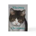 Meowy Christmas - Cat's Holiday Greeting Card