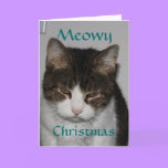 Meowy Christmas - Cat's Holiday Greeting Card