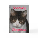 Meowy Christmas - Cat's Holiday Greeting Card