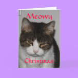 Meowy Christmas - Cat's Holiday Greeting Card