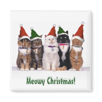 "Meowy Christmas!" Cats In Hats Fridge Magnets by kokobaby