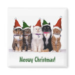 "Meowy Christmas!" Cats In Hats Fridge Magnets