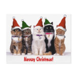 "Meowy Christmas!" Cats Post Cards