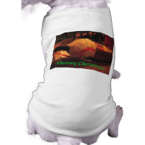 Meowy Christmas pet clothing by welcomeflowers Meowy Christmas pet clothing