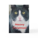 Meowy Christmas! Support Animal Shelters Cat Cats cards