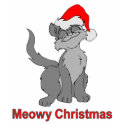 Meowy Christmas t-shirts