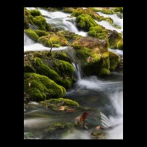 Meramec Spring posters
