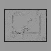 Mercat with seahorses and jellyfish t-shirts