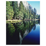 Merced River - Yosemite National Park Full Color Flyer