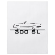 Mercedes 300 SL Type 107 flyers