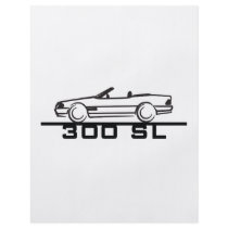Mercedes 300 SL Type 129 flyers