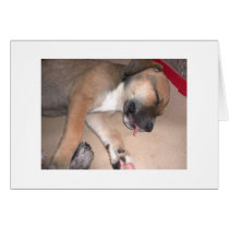 Mercedes cards by Catahoula Mercedes cards