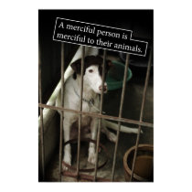 Merciful to Animals Poster posters
