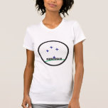 Mercosur Roundel quality Flag Tshirt